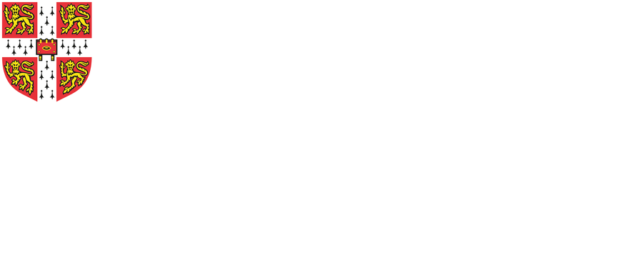 Cambridge International School